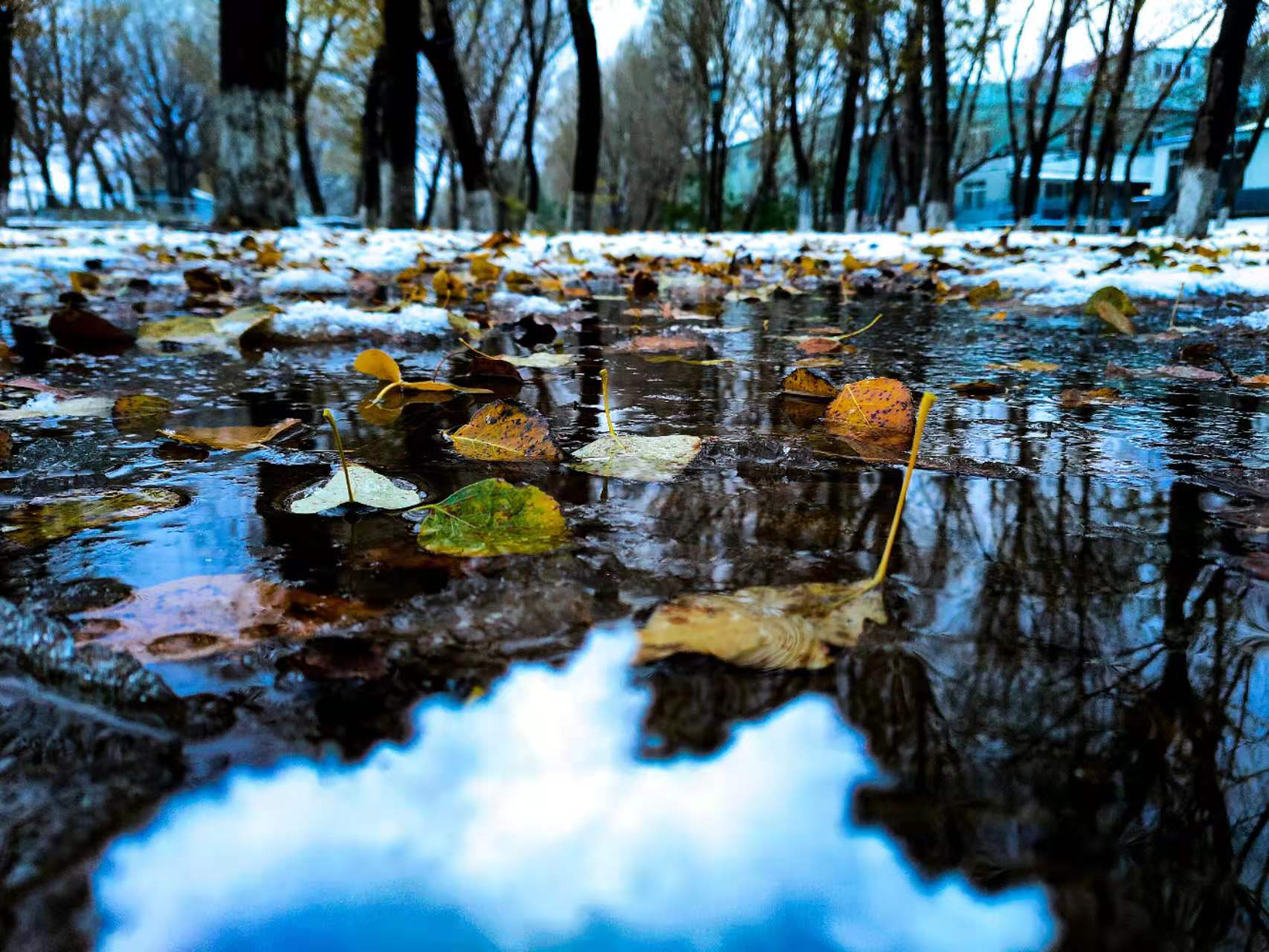 f4c978b9dddf74e4c0ede89541abf72