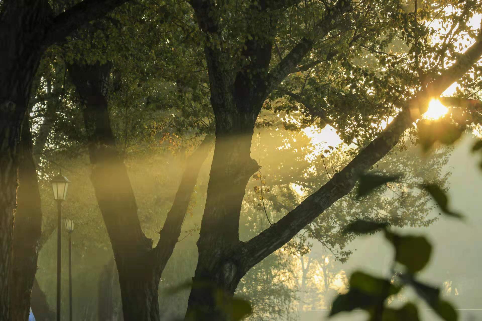 e8ac79d270e842f4d658463bf6e5a65