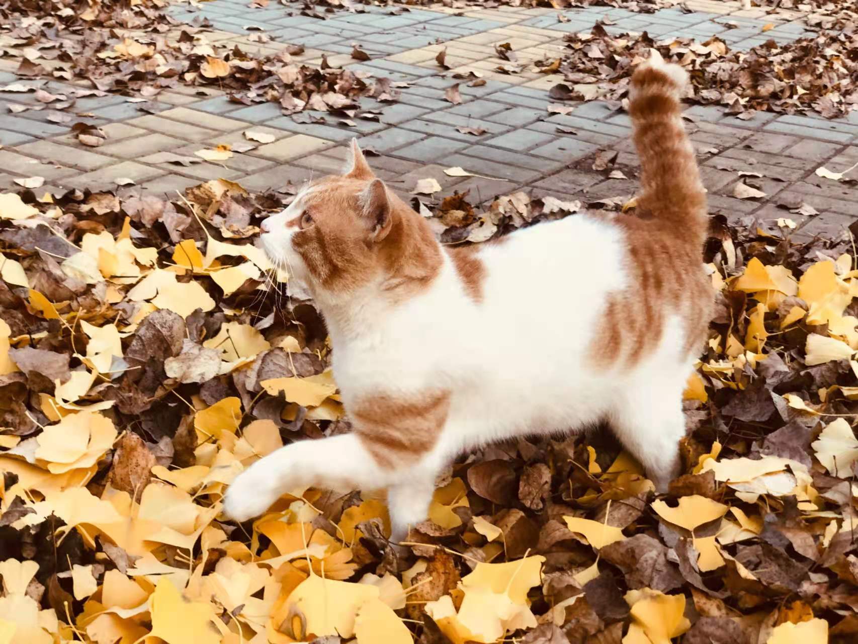 762ed87a66a5b5071a5ad9708e02b8c