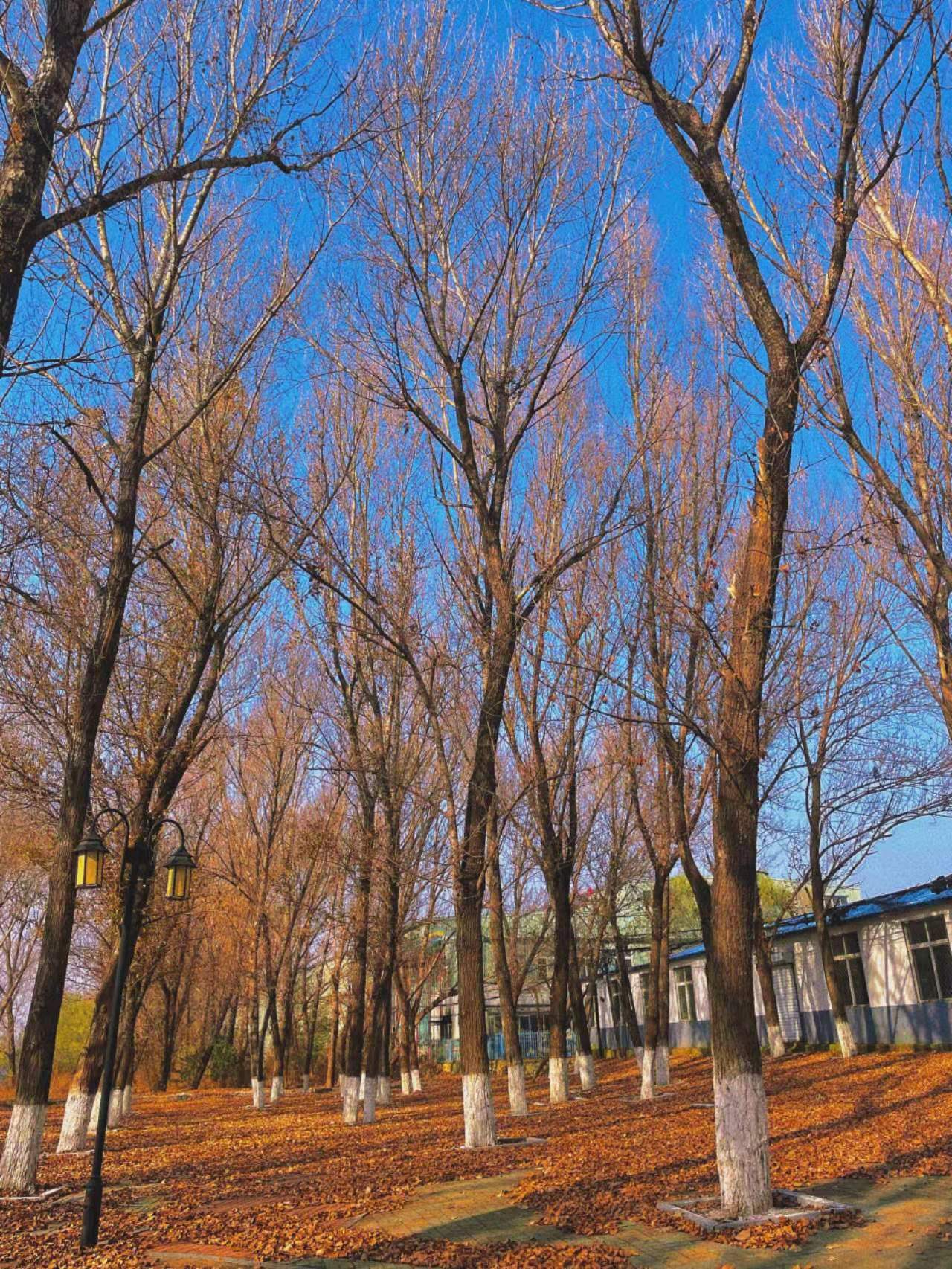 5f28e2bb4fe6751a909dd4a94b1f219