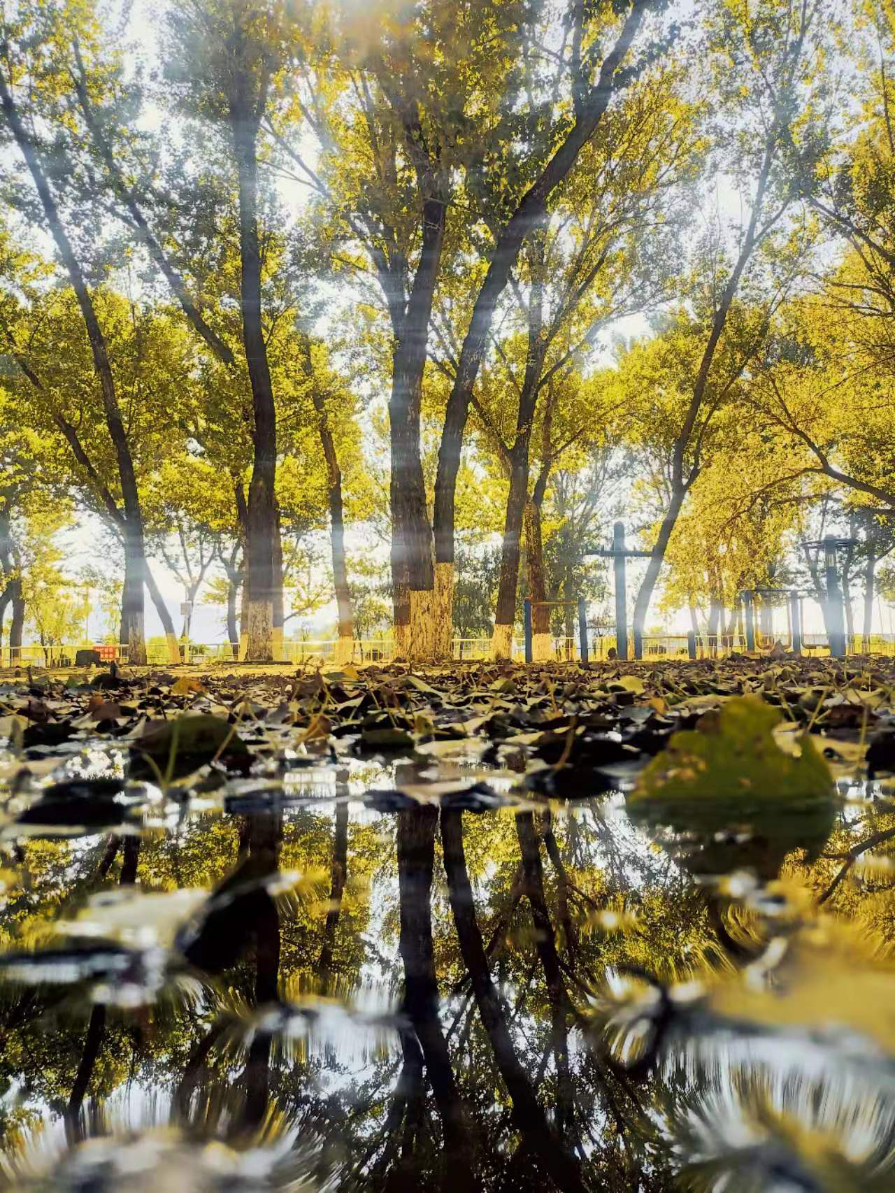 1bee7142ea62cce479ec6a5983b1a30